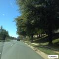 Dog left in parked car in Germantown lot