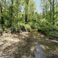 Intoxicated camper with knee pain at state forest