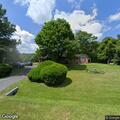 Loose dog reported on Jordan Springs Road