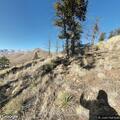 Small vegetation fire near Cheesman Reservoir
