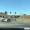 Dead deer on shoulder along Prairie View Road