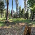 Vegetation fire near Green Flat Campground