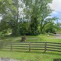 Tree hazard reported on Mount Moriah Road