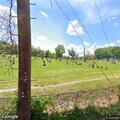 Unconscious female found near Odd Fellows Cemetery