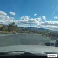 Vehicle hits bear on highway near Pleasant Valley