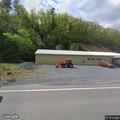 Injured deer on Route 50 shoulder near bowling alley