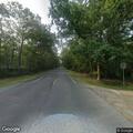 Large tree blocking First Avenue roadway