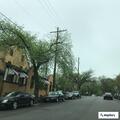 Police assistance requested on Roland Avenue