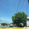 Verbal disturbance on Winchester Avenue