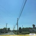 Vehicle and deer crash on Winchester Avenue