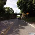 Tree blocking part of Green Valley Road