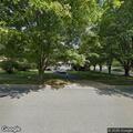 Deer blocking roadway on Marriottsville Road
