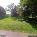 Injured dog reported near creek at Lake Roland Park