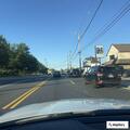 Deer removed from roadway at Belair and India