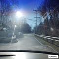 Vehicle hits animal on Miller Road