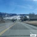 Loose dog creating road hazard on Monument Trail