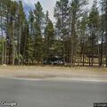 Cars crowd driveway to view moose in backyard