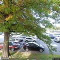 Report of unwanted person at LensCrafters