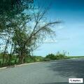 Request for non-emergency manpower at Poplar Grove Ave