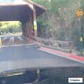 Person with altered consciousness at Bartley Ranch Park