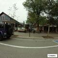 Raccoon attacks woman and dog on South Main Street