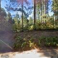 Person with heart problems at Willow Creek Campground