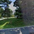 Tree at risk of falling into roadway on Daysville Road