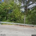 Tree blocking roadway on Middletown Road