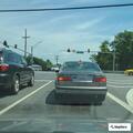 Traffic stop for vehicle with expired registration