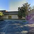 Person hanging high in tree near bank in Willows