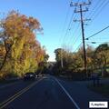 Parked vehicles affecting traffic on York Road