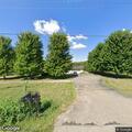 Deer blocking roadway near Tarlton Adelphi Road