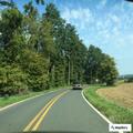 Large fallen tree blocking side road
