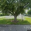 Tree blocks road on 775 East near 3800 block