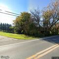 Person walking in roadway on Williamsport Pike