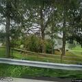 Live coyote blocking road on Mount Carmel Road