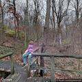 Man falls and hits head at state park, loses consciousness