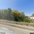 Loose cattle near home on Island Road
