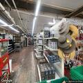 Bears reported getting into trash cans at hardware store