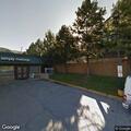 Bear reported near businesses and drive-through