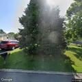 Suspicious workers cutting trees in backyard
