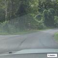 Officers check reported disturbance on Foxville Road