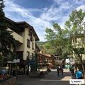 Purse reported lost at Vail bar or on local buses