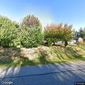 Tree fire on Jefferson Boulevard