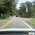 Traffic stop on Forest Avenue Mercedes sedan