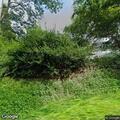 Tree blocking Liberty Road near Currwood Shop Road