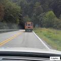 Tree blocking Mason Dixon Highway cleared