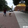 Person overdoses at Rowan University student center