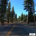 71-year-old woman treated for bee sting at medical clinic
