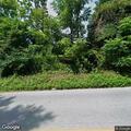 Tree blocks road near Muddy Creek Forks Road